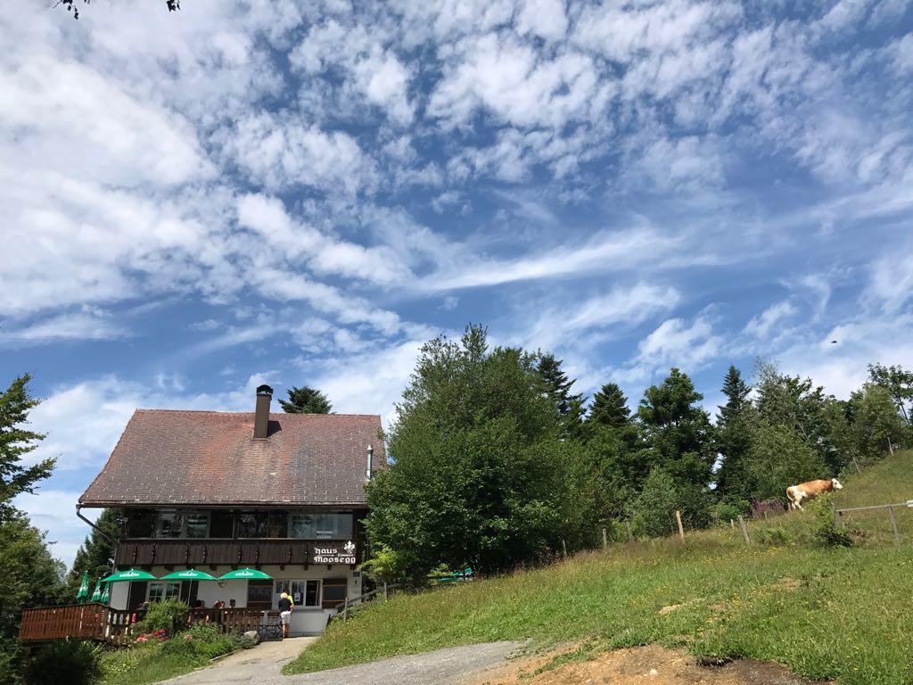 Gasthaus Moosegg Lochau Kültér fotó